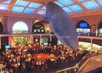 naturalhistory